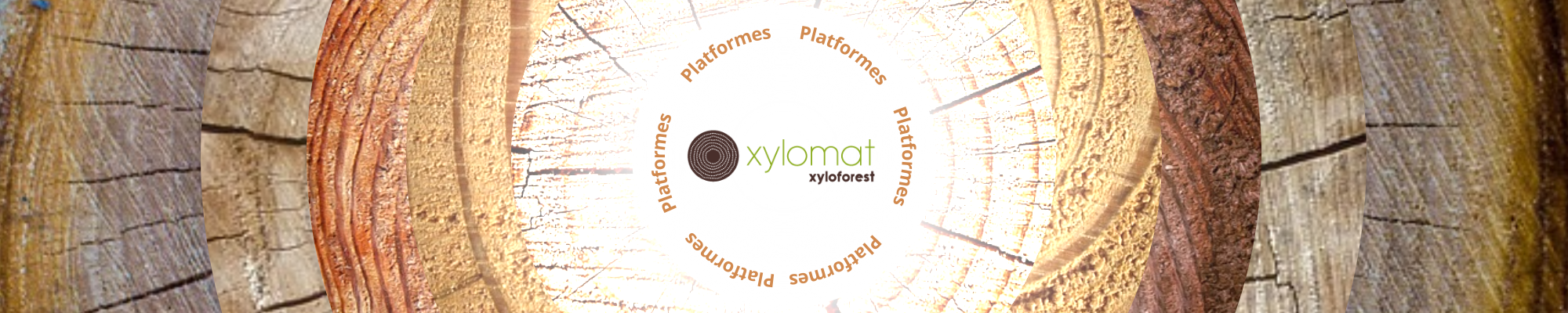 xylomat (2).png