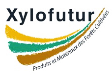 Logo Xylofutur